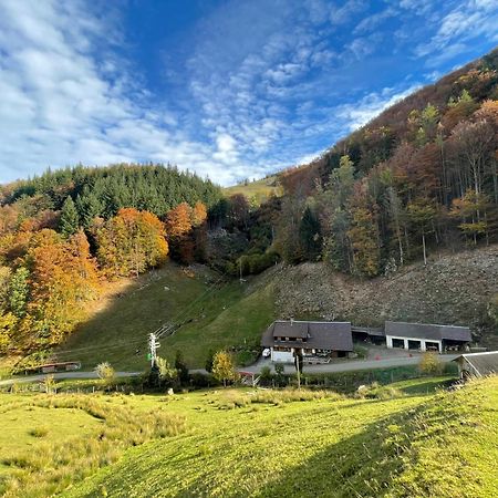 Bauernhaus Im มึนสเตอร์ทัล ภายนอก รูปภาพ