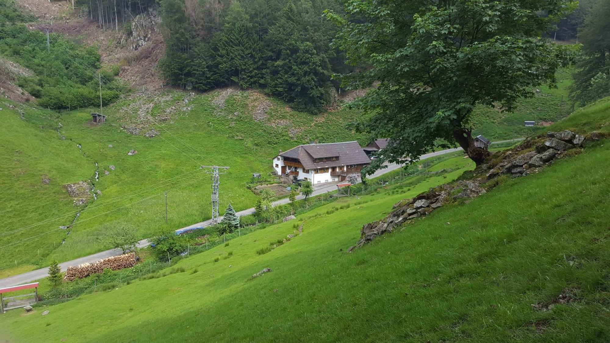 Bauernhaus Im มึนสเตอร์ทัล ภายนอก รูปภาพ