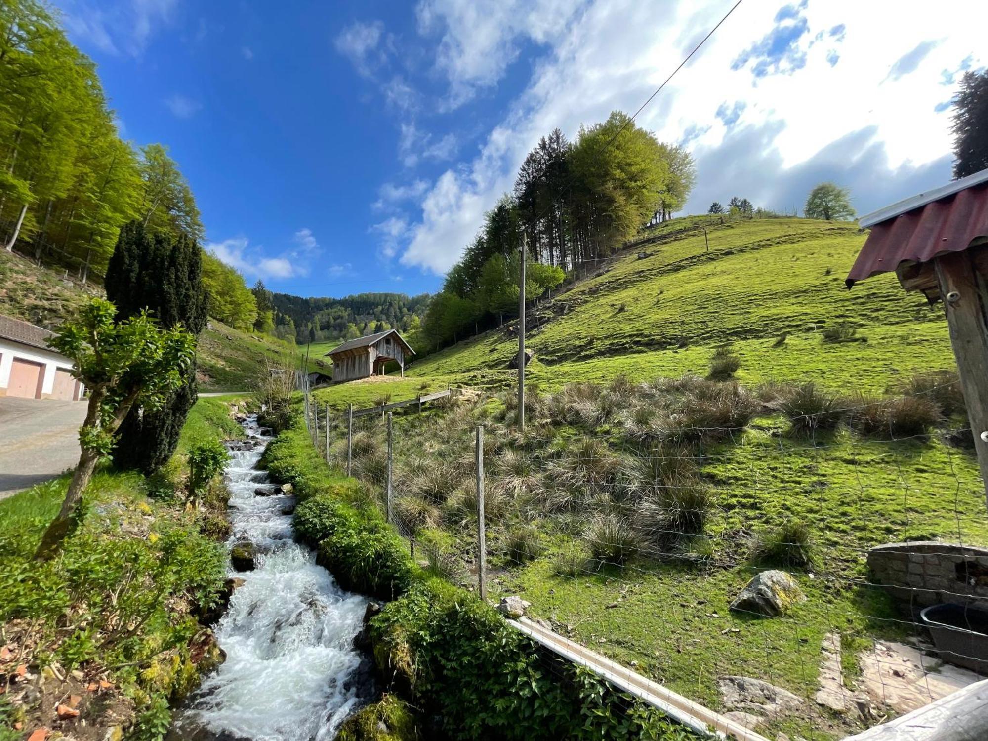 Bauernhaus Im มึนสเตอร์ทัล ภายนอก รูปภาพ