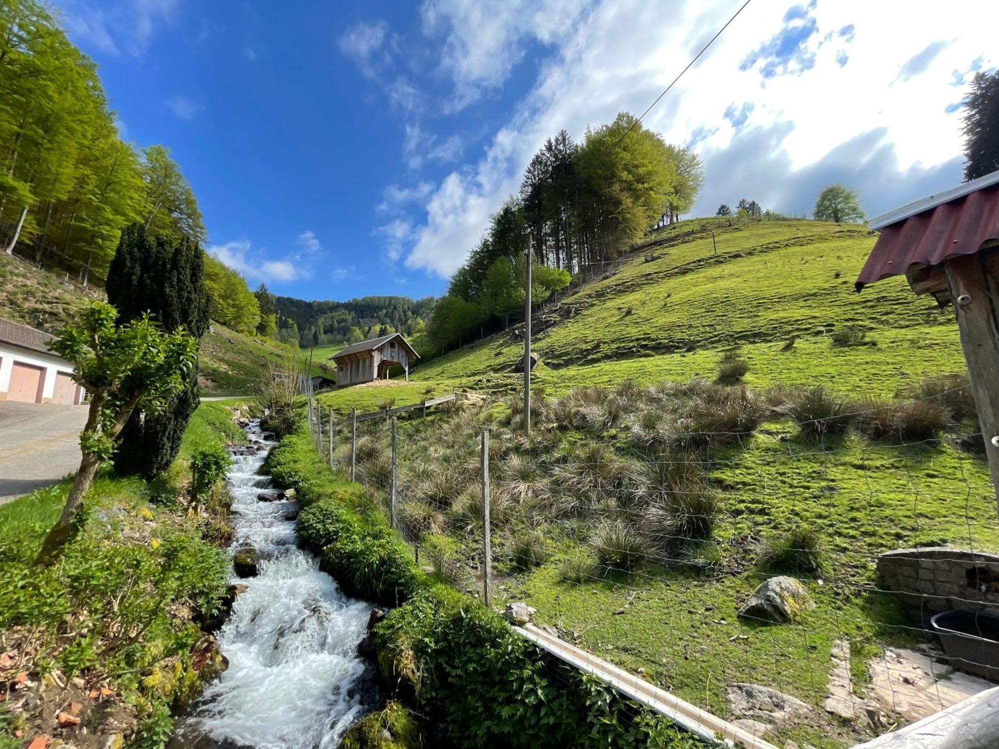 Bauernhaus Im Muenstertal Villa ภายนอก รูปภาพ