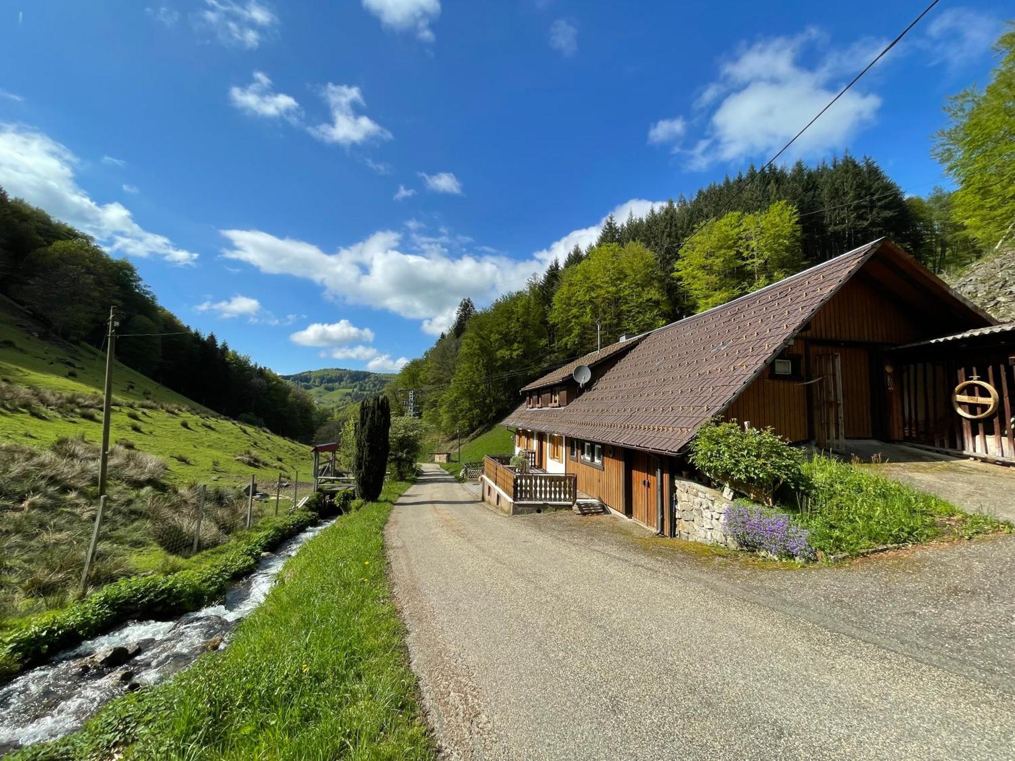 Bauernhaus Im มึนสเตอร์ทัล ภายนอก รูปภาพ