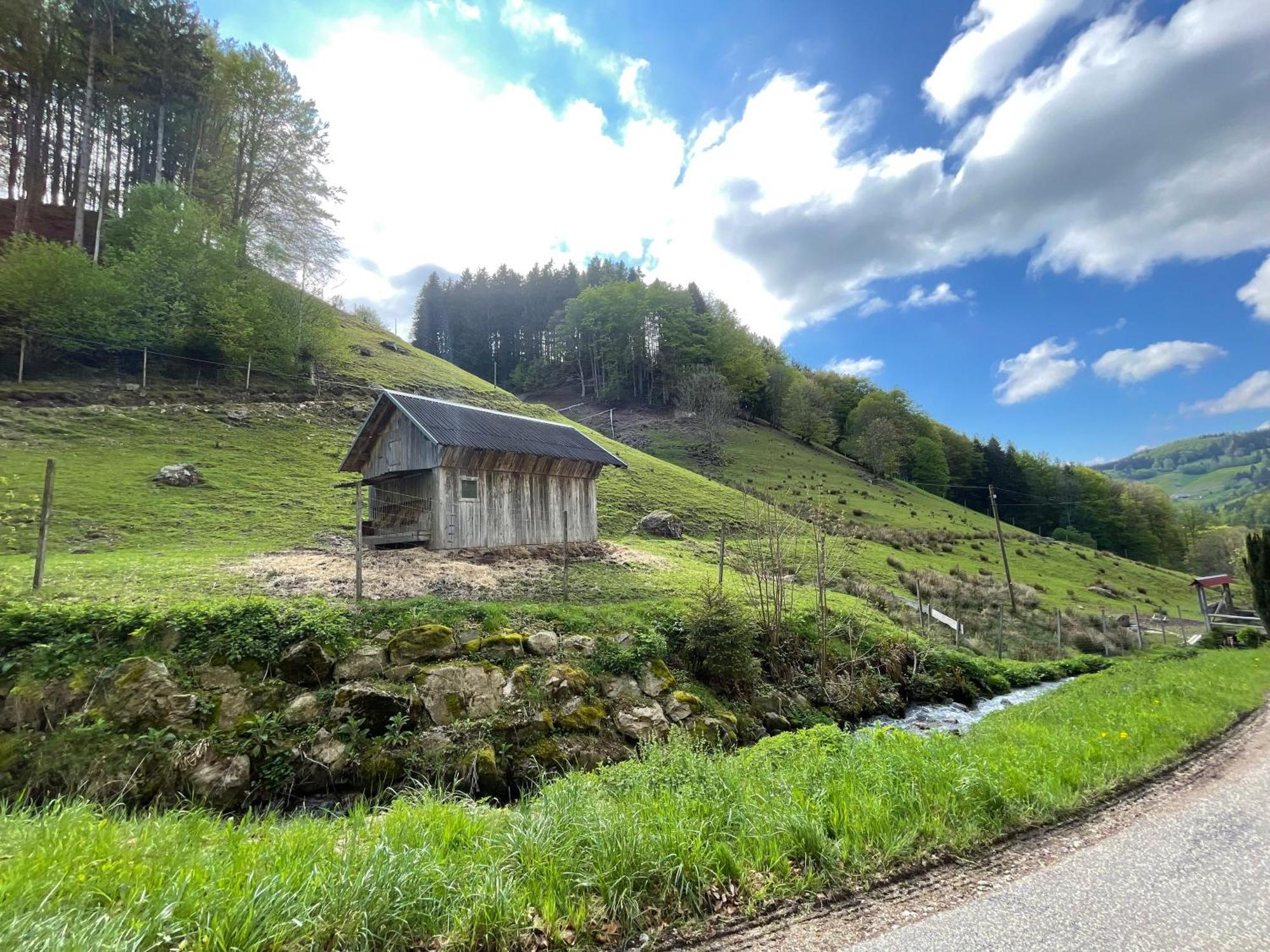 Bauernhaus Im มึนสเตอร์ทัล ภายนอก รูปภาพ