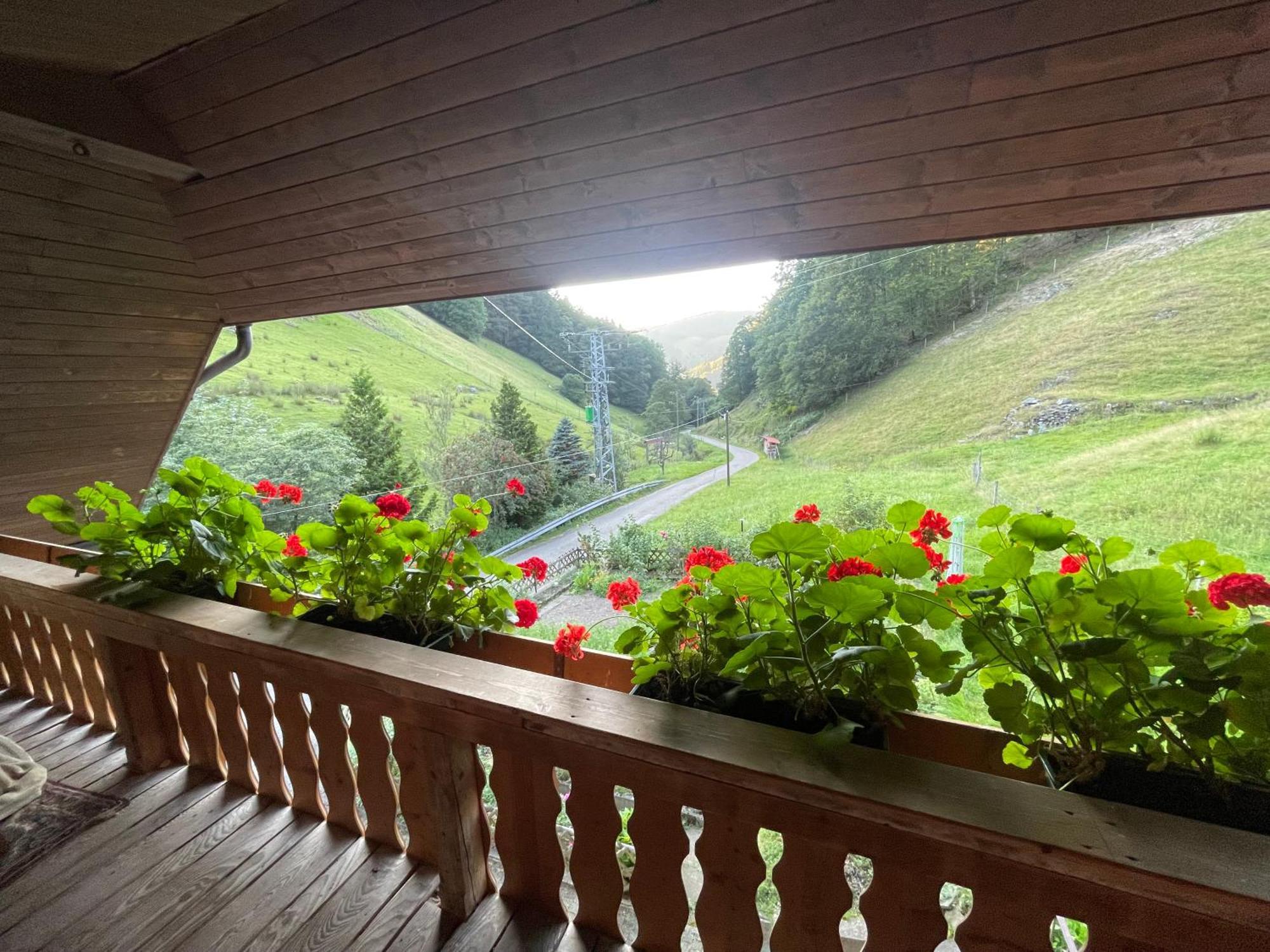 Bauernhaus Im มึนสเตอร์ทัล ภายนอก รูปภาพ