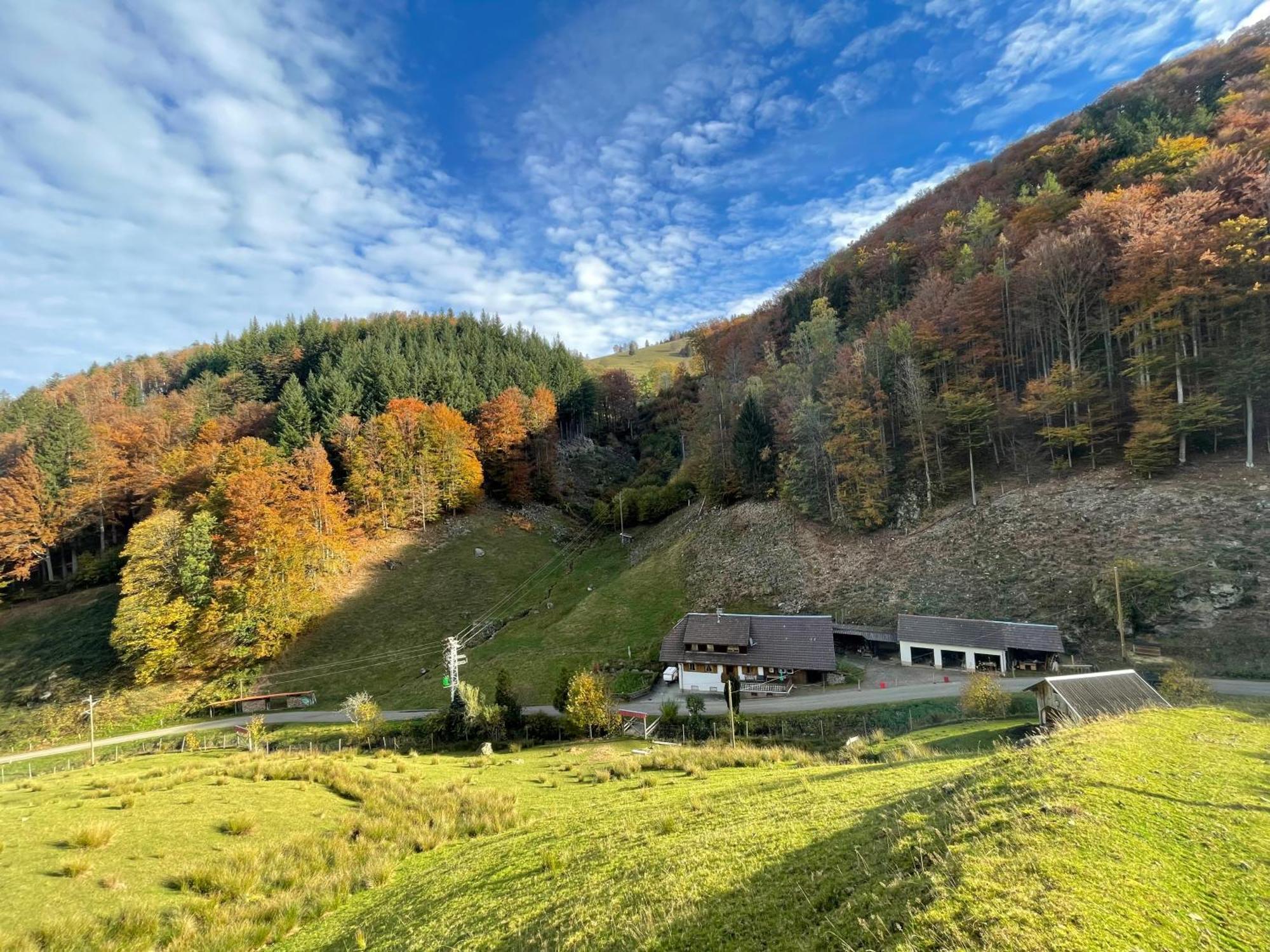 Bauernhaus Im Muenstertal Villa ภายนอก รูปภาพ